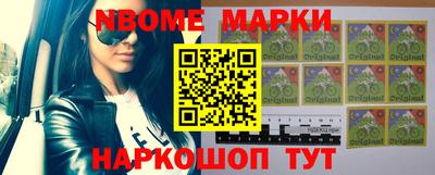 Альфа ПВП Моздок
