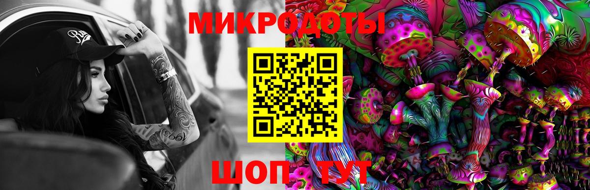 Гусь-Хрустальный  Галлюциногенные грибы мухоморы  наркотики  Вход с VPN  Псилоцибиновые грибы Psilocybe 